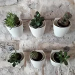 Leut * Korčula