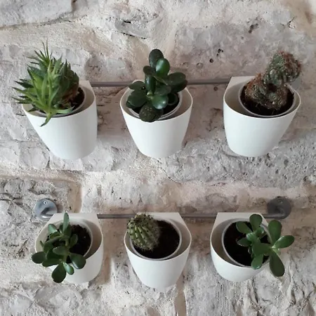 Leut * Korčula